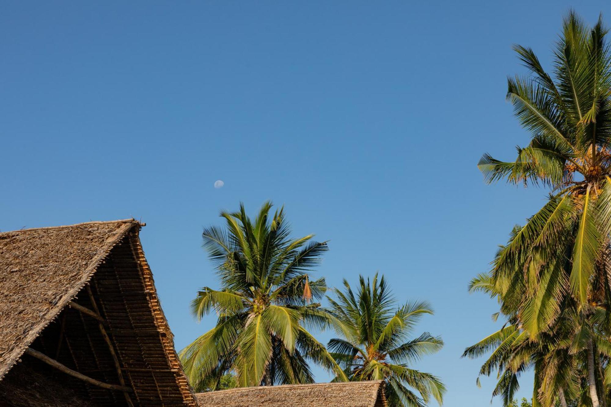 Pole Pole Bungalows Utende المظهر الخارجي الصورة